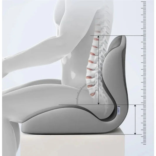 Lumbar Support Memory Foam Cushion - 2026 New Ergonomic Pressure Relief Pad for Sedentary Posture Correction